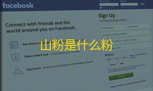 10. 高防免备案云服务器山粉是什么粉